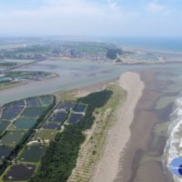 改善竹北水環境　濱海遊憩區再現新風貌