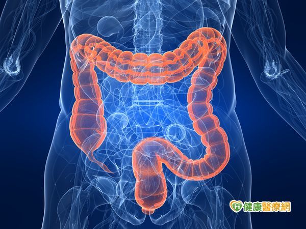 解血便要注意　大腸鏡檢查發現瘜肉與惡性瘤