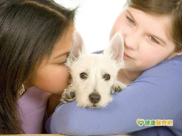 出現過敏性結膜炎　竟是家中毛小孩惹禍