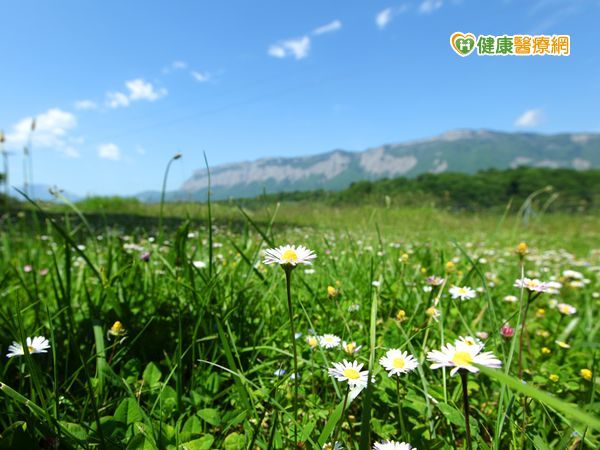 掃墓後身上冒焦痂　小心是恙蟲病