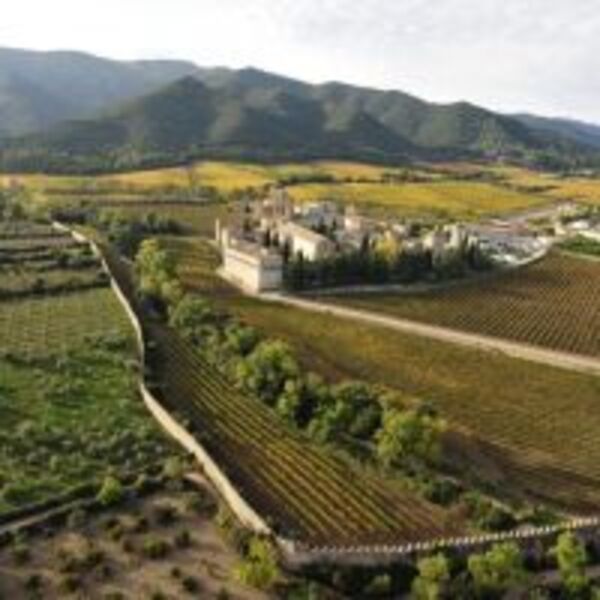 來自聯合國世界文化遺產的西班牙修道院葡萄酒