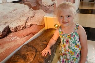 英國4歲女孩海邊發現「2.2億年前的恐龍腳印」，被博物館譽為史上「最好的標本」