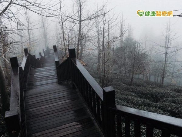 春雨綿綿時而反潮　小心黴菌入侵呼吸道