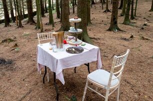 不負責任！英國攝影師樹林中驚見「神秘下午茶桌椅」，杯盤狼藉引人憤怒