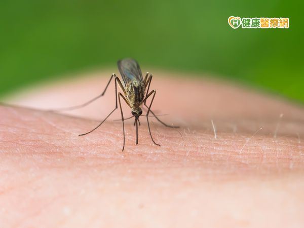 茲卡病毒現蹤越南　旅遊警示增為46國