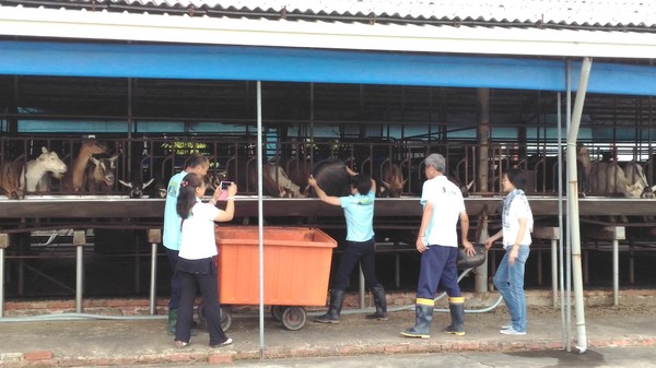 台南「護生教育示範園區」 為動物預約一方樂土