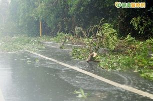 尼伯特颱風重創台東　備6千瓶漂白水防登革熱