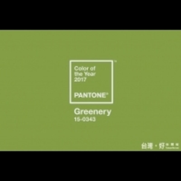 指點2017年流行色　Pantone選出「草木綠」