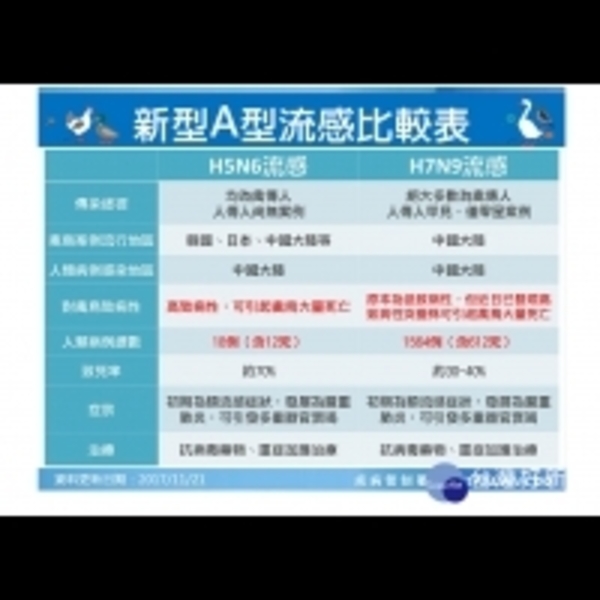 日、韓、中傳出H5N6禽流感疫情　5要6不防病毒上身
