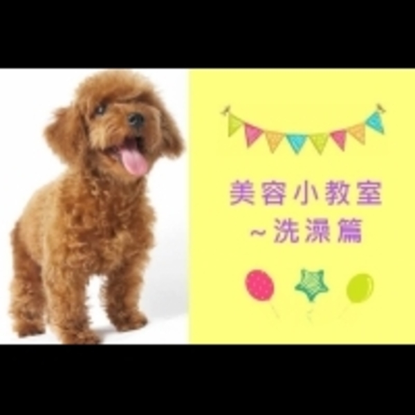 【美容小教室】讓寶貝判若兩「狗」~洗澡篇