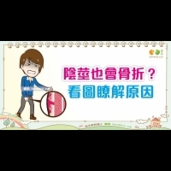 認識陰莖骨折｜男性 陰莖篇1