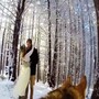 意想不到的超級神秘攝影師？！ 這段精彩婚禮紀錄 全由「牠」掌鏡！