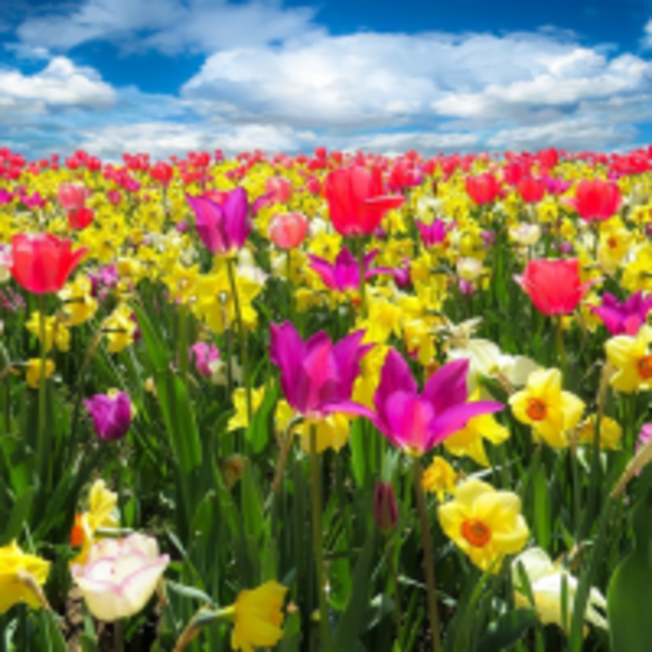 春天已過一半！你了解春分時節的4個傳統習俗嗎？