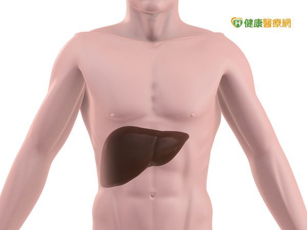 糖友遠離脂肪肝　少吃多動是關鍵