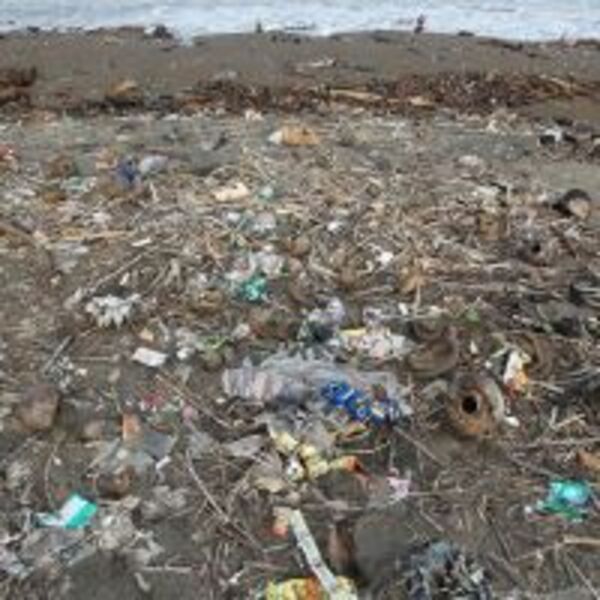 廢棄物每年導致100百萬人死亡