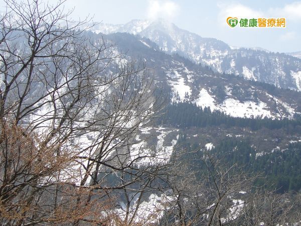 冷氣團持續發威　多種病毒趁機入侵