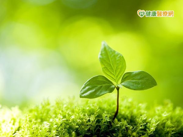 春季氣溫多變　走春出遊注意保暖