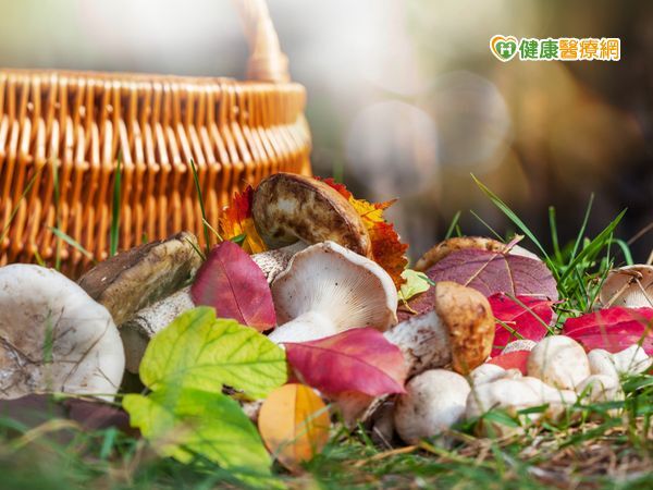 菇菇好營養　哪些人不能吃？