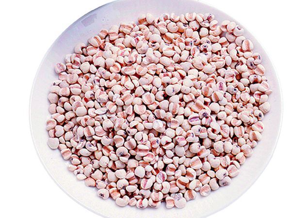 薏仁降血脂膽固醇　美白抗癌小尖兵