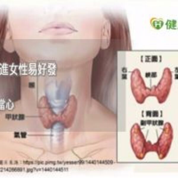 心跳飆、體重狂掉！　當心是甲狀腺機能出問題