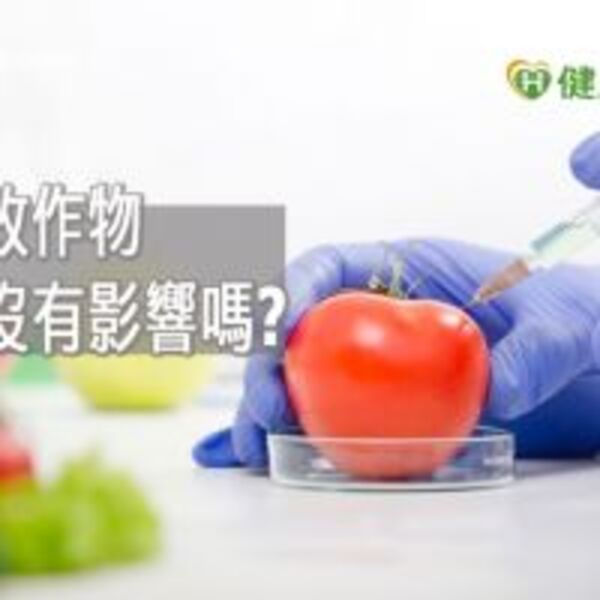 基改食品對身體沒影響？　食藥署這樣說明