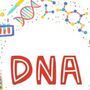 老化速度取決於DNA！　抗老聖經教你用７個星期解鎖