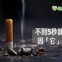 不到5秒就有1人因「它」丟命！　國際認證第一級致癌物不可小覷