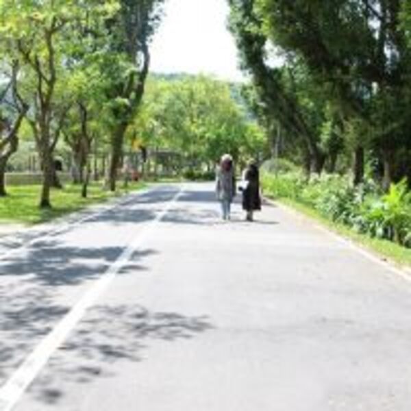 南港公園療癒之旅　補充滿滿正能量