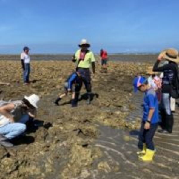 藻礁生態環境教室滿週年　成為桃園海岸環教重地