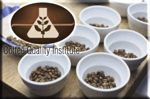 【台大慶齡】CQI Q Grader 咖啡品質鑑定師培訓國際認證課程 5/23開課