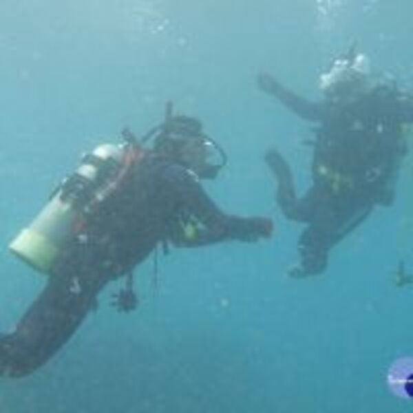 跨越障礙揪團探索海底世界　身障朋友結伴活出精采人生