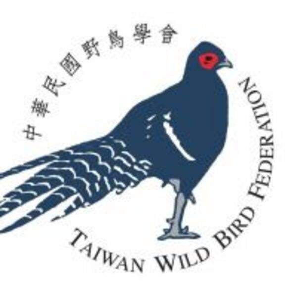 名稱遭打壓被除名　中華鳥會宣布改英文名Chinese變Taiwan