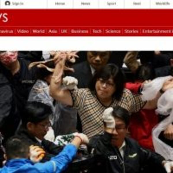 BBC稱台灣國會「惡名昭彰」　林為洲：願向國人道歉