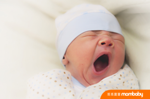 早產兒常見併發症有哪些？爸媽掌握四重點，照護脆弱的早產寶寶