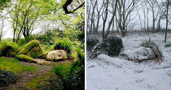 驚艷！英格蘭失落花園的巨型 「活雕塑」，隨著季節的變換改變著裝風格