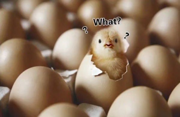 大學校長論文「煮熟的雞蛋還能孵出雞來」遭轟，校長回應：我的學生有特殊能力！