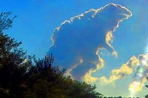 哥斯拉來襲！天空上各種奇形怪狀的雲朵，自然界中最厲害的藝術家