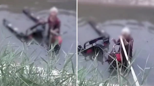86歲老人翻車落水，男子救人前「先拍影片」，網友一看：「聰明的好心人」
