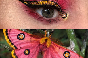 昆蟲眼妝超吸睛！30張繽紛亮麗的獨特眼妝，凸顯「昆蟲之美」