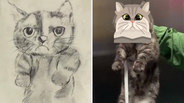 警衛撿到貓，畫了一張招領圖「本以為是畫得潦草，沒想到是貓長得潦草」