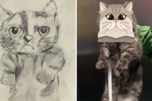 警衛撿到貓，畫了一張招領圖「本以為是畫得潦草，沒想到是貓長得潦草」