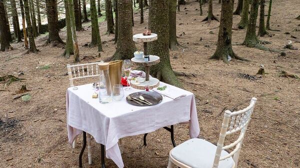 他在森林中發現「夢幻下午茶餐桌椅」走近一看氣炸：太缺德！