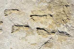 冰河時代新發現！北美洲存在「最古老的人類腳印」，距今約有23000年歷史