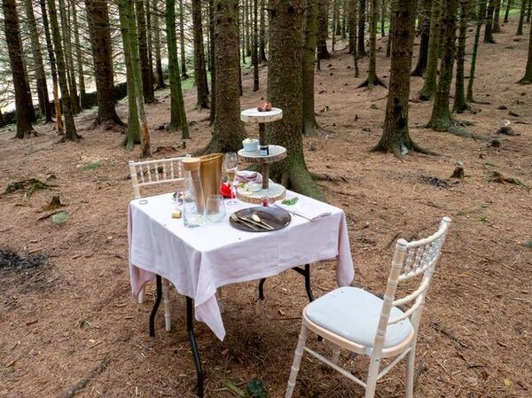 不負責任！英國攝影師樹林中驚見「神秘下午茶桌椅」，杯盤狼藉引人憤怒
