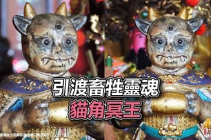 真的可以用罐罐拜拜，「貓角冥王」專門拯救動物靈魂，台灣只有兩處有
