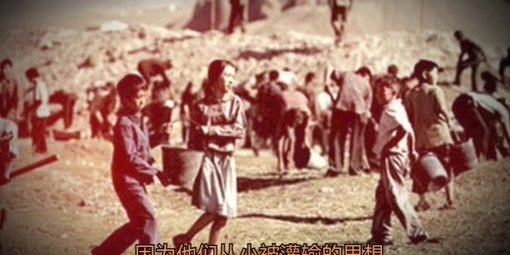 北韓政權的世襲奴隸：數十萬集中營囚犯與家屬，世世代代遭強迫採礦