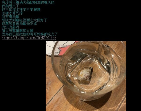 新聞圖片