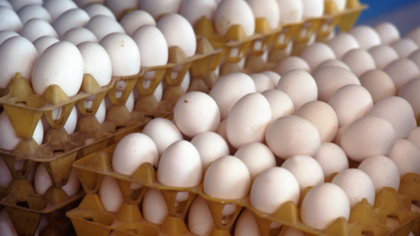 蛋荒內幕！蛋農控遭蛋商「紅盤價」剝削鬧全台蛋荒