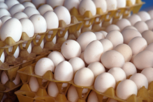 蛋荒內幕！蛋農控遭蛋商「紅盤價」剝削鬧全台蛋荒