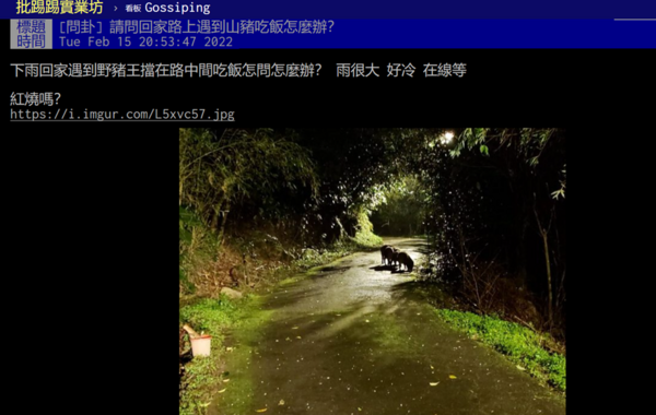 新聞圖片